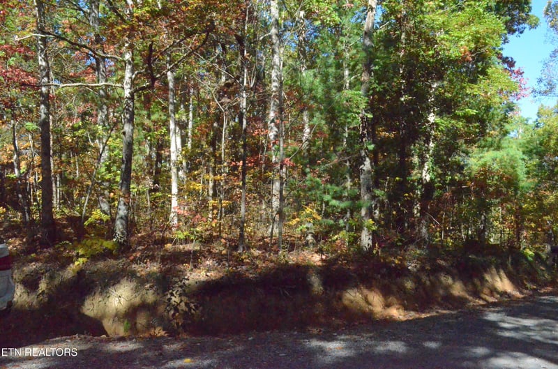 0 Lot 90 Lakeshore Dr, Tallassee, TN 37878