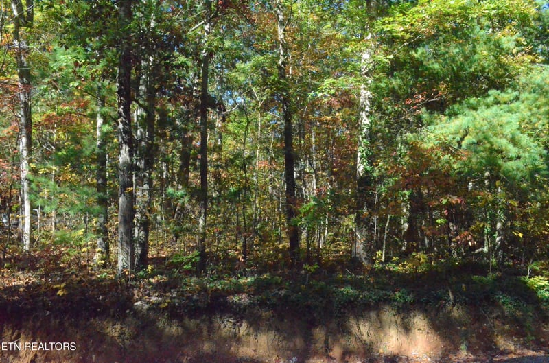 0 Lot 90 Lakeshore Dr, Tallassee, TN 37878