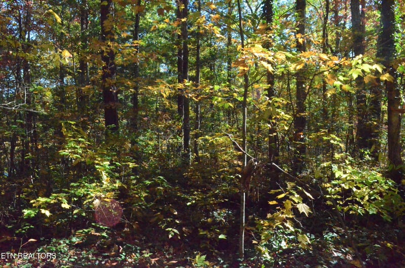 0 Lot 90 Lakeshore Dr, Tallassee, TN 37878
