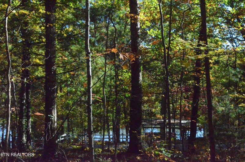 0 Lot 90 Lakeshore Dr, Tallassee, TN 37878