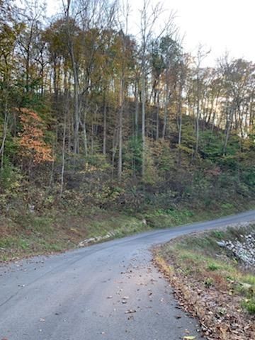 0 Lot 913 Eagle Ct, Sharps Chapel, TN 37866