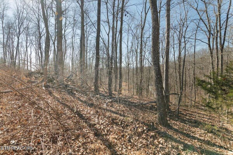 0 Lot Camp Galilee Rd, Lafollette, TN 37766