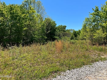 0 Lot F Mccartt Ridge Ln, Sunbright, TN 37872