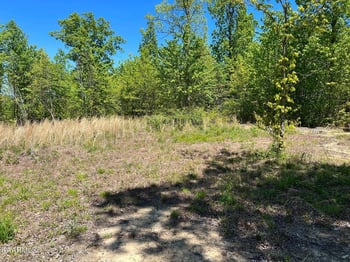 0 Lot F Mccartt Ridge Ln, Sunbright, TN 37872