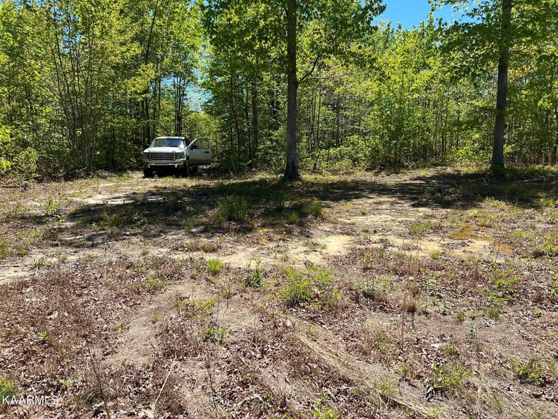 0 Lot F Mccartt Ridge Ln, Sunbright, TN 37872