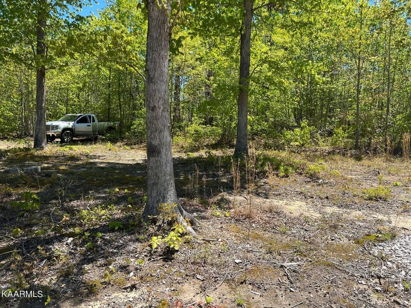 0 Lot F Mccartt Ridge Ln, Sunbright, TN 37872