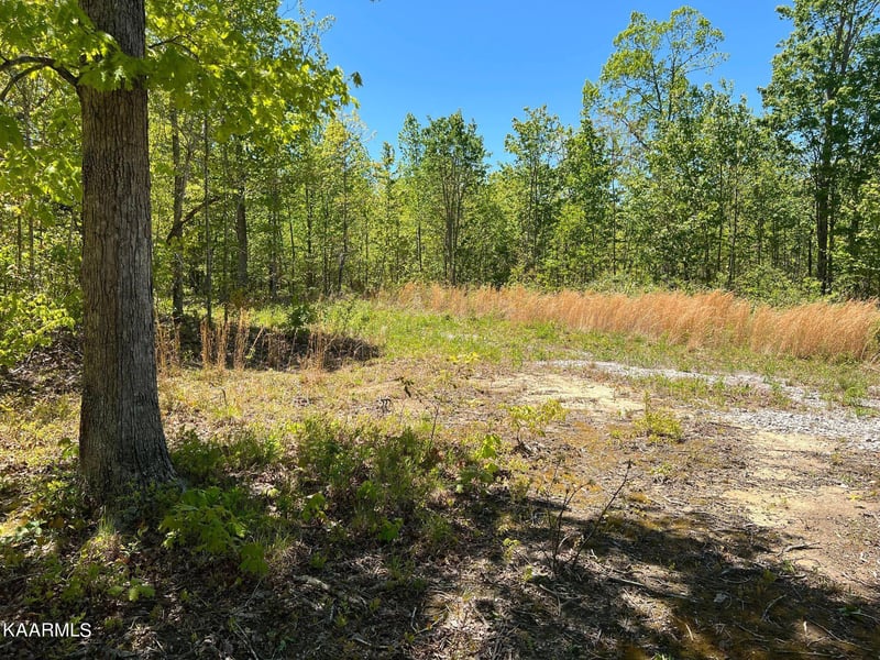 0 Lot F Mccartt Ridge Ln, Sunbright, TN 37872