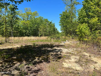 0 Lot F Mccartt Ridge Ln, Sunbright, TN 37872