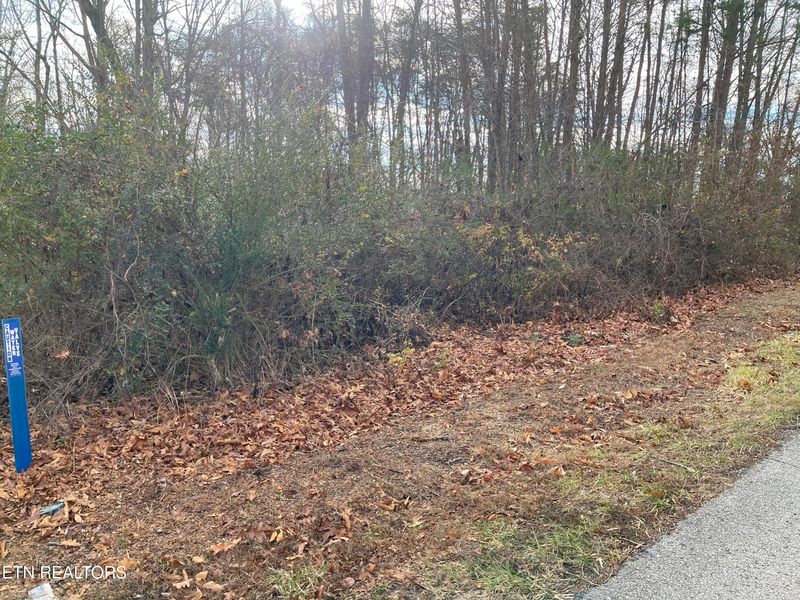 0 Lots 1 & 2 Skyline Dr, Harriman, TN 37748