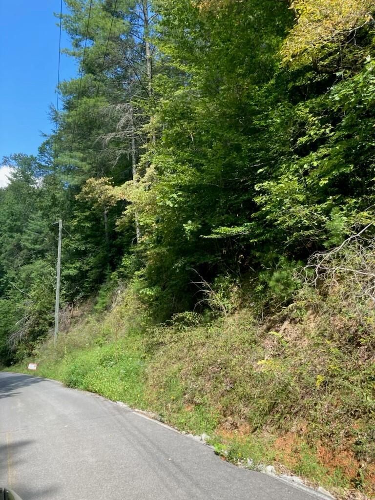 0 Lots 14 15 And 16 Sunset Rd, Sevierville, TN 37862