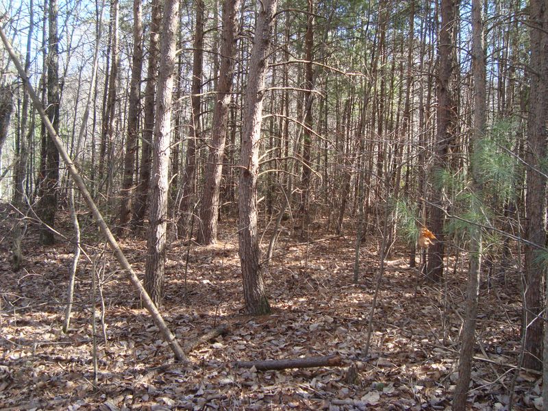 0 Lots 6 7 8 Harold Witt Rd, Tellico Plains, TN 37385