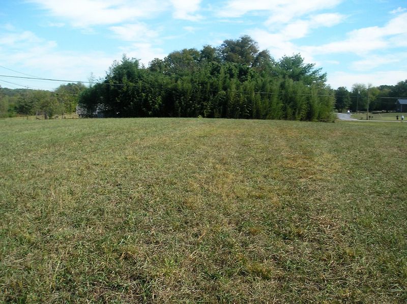 0 Lou Goddard Ln, Greenback, TN 37742