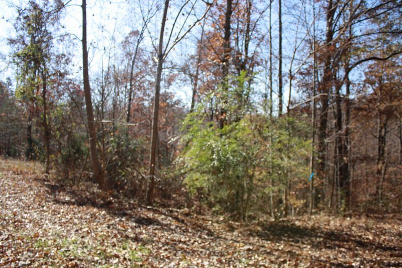 0 Loudon Highway 72, Philadelphia, TN 37846