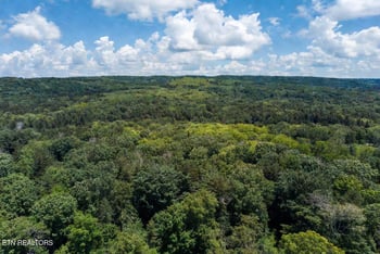 0 Loudon Rd #231, Philadelphia, TN 37846