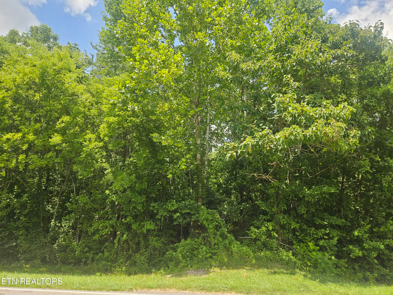 0 Loudon Rd #231, Philadelphia, TN 37846