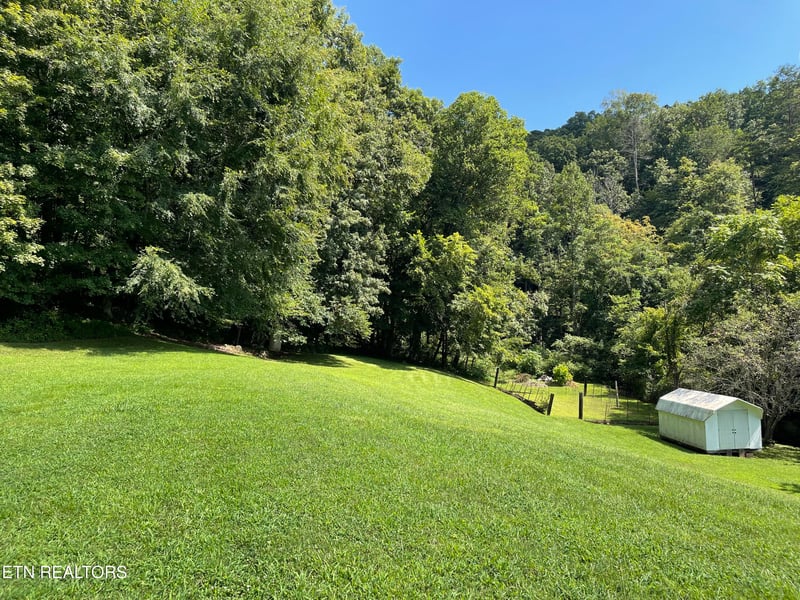 0 Lovely Bluff Rd, Rocky Top, TN 37769