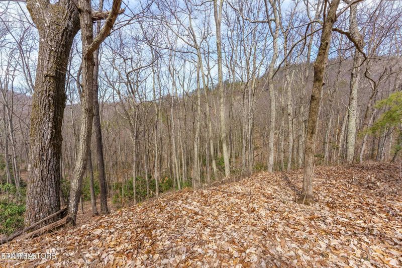0 Low Sunset Dr, Sevierville, TN 37876