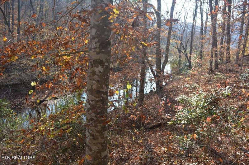 0 Lower Capuchin Rd, Winfield, TN 37892
