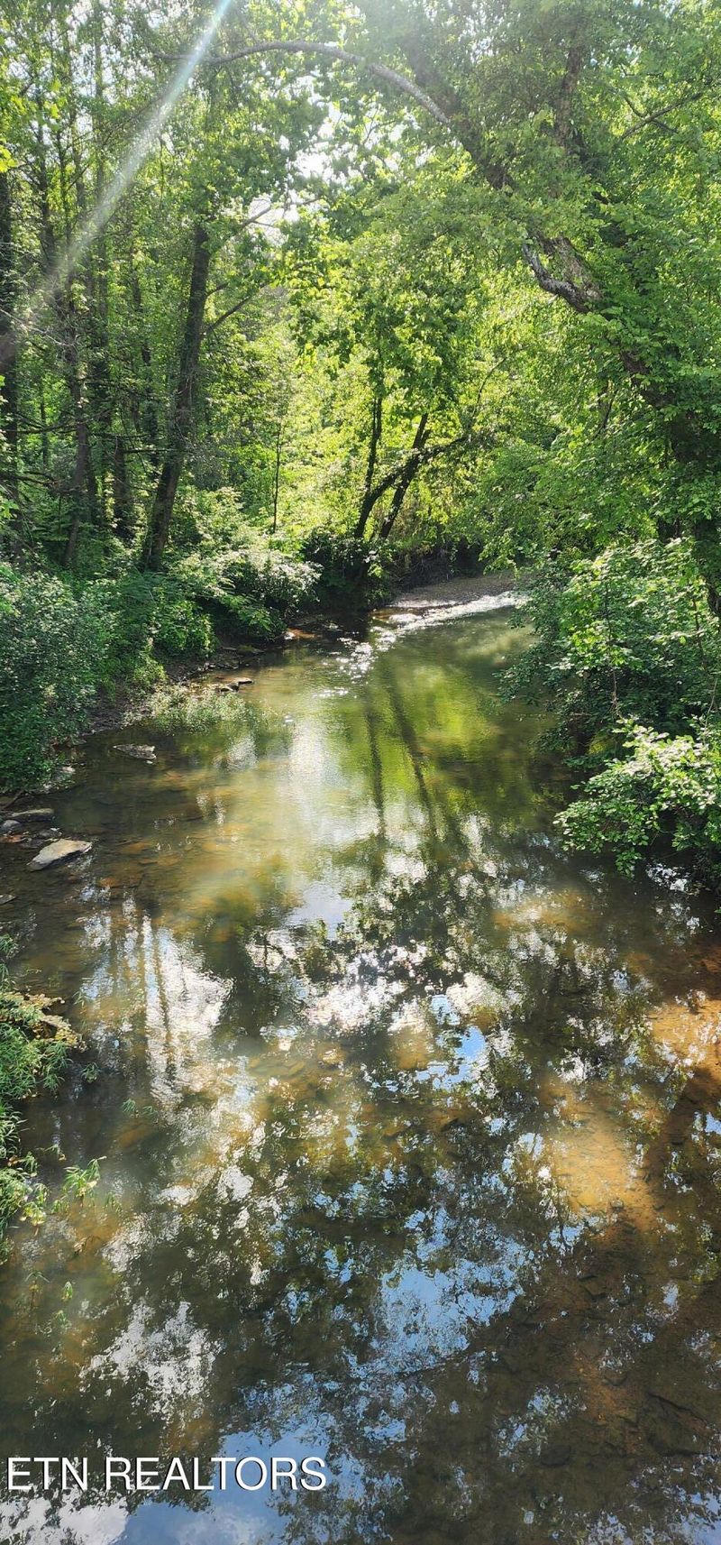 0 Lower Capuchin Rd, Winfield, TN 37892