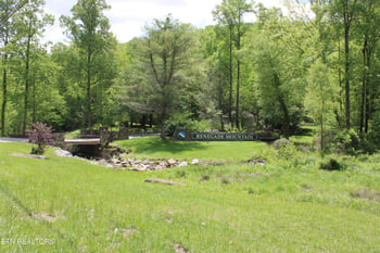 0 Lower Eagles Nest Rd, Crab Orchard, TN 37723