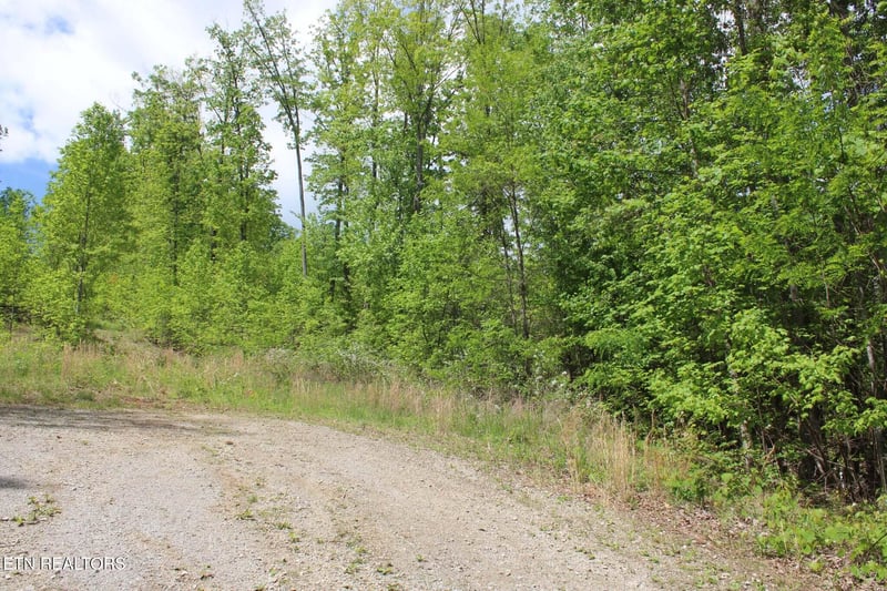 0 Lower Eagles Nest Rd, Crab Orchard, TN 37723