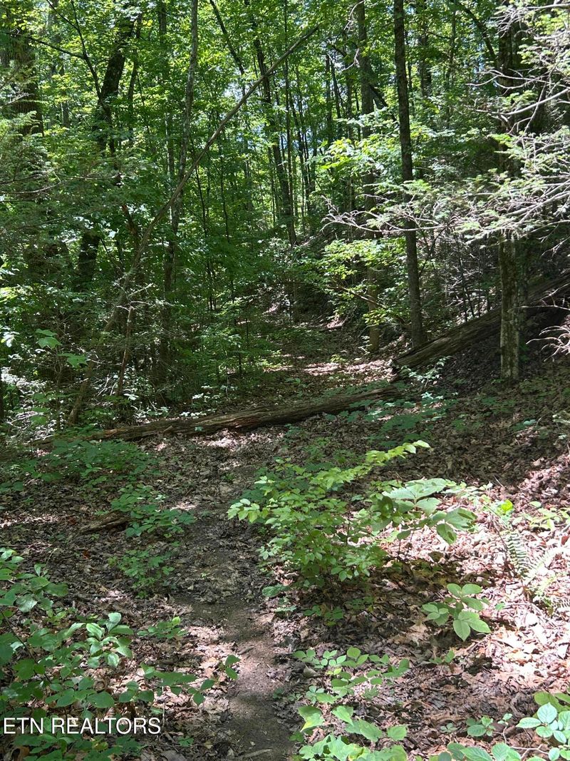 0 Lower Powdermill Rd, Sevierville, TN 37876