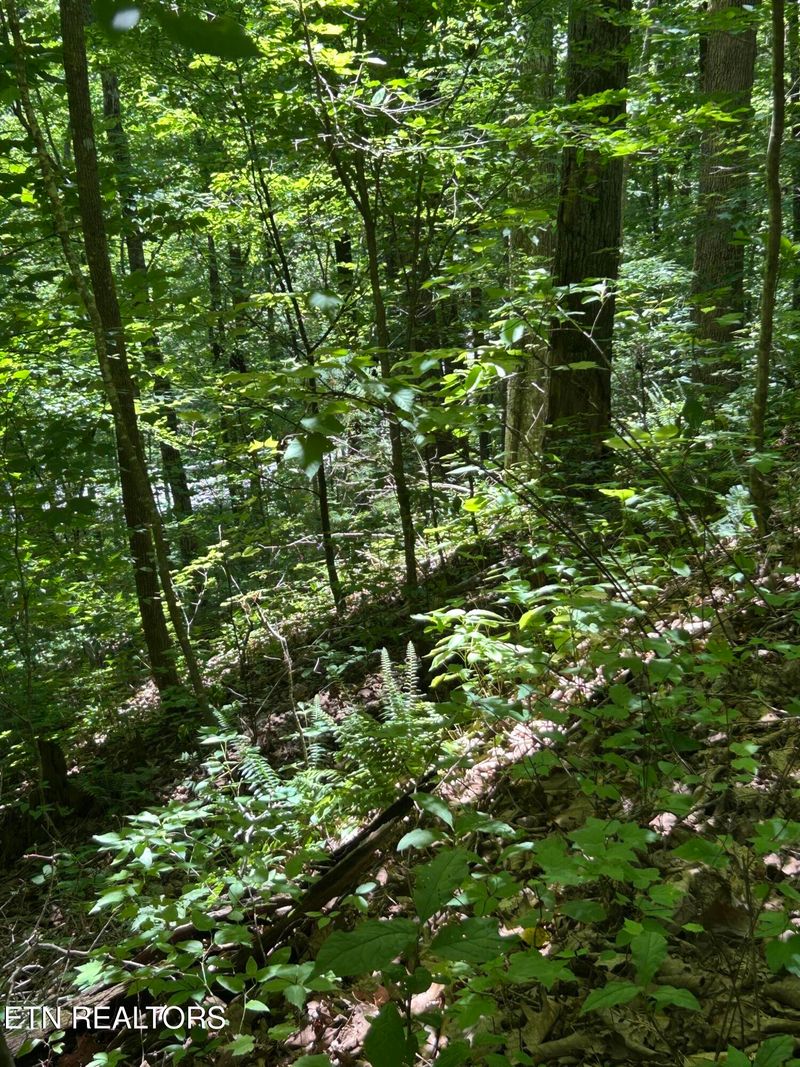 0 Lower Powdermill Rd, Sevierville, TN 37876