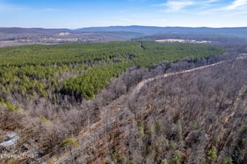 0 Lower Rockwood Rd Lot 16, Rockwood, TN 37854