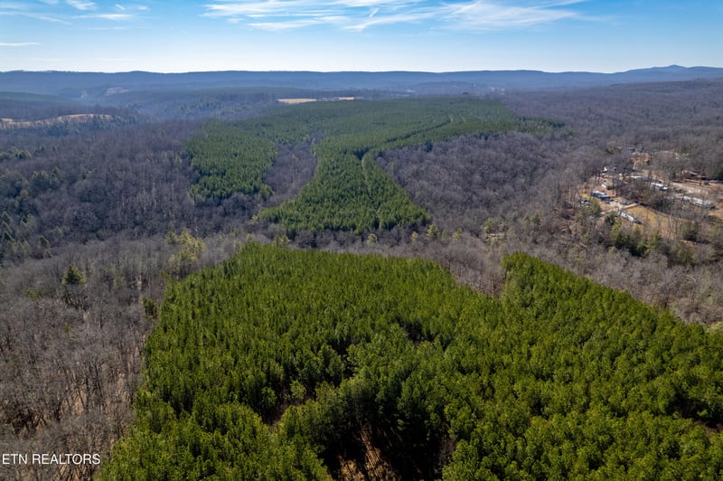 0 Lower Rockwood Rd Lot 17, Rockwood, TN 37854
