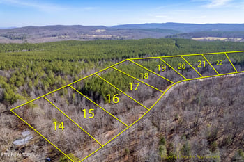 0 Lower Rockwood Rd Lot 17, Rockwood, TN 37854