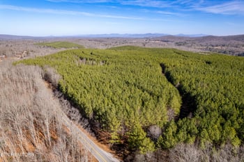 0 Lower Rockwood Rd Lot 18, Rockwood, TN 37854