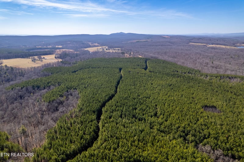 0 Lower Rockwood Rd Lot 18, Rockwood, TN 37854