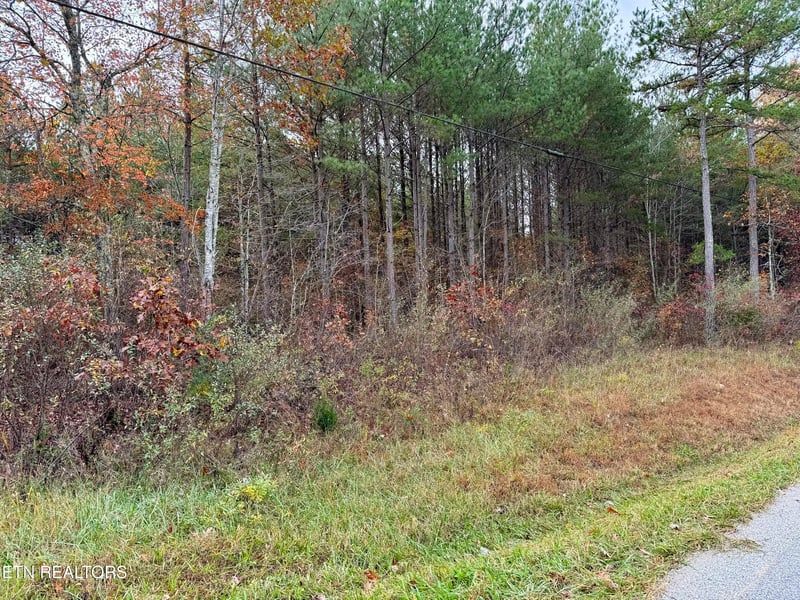 0 Lower Rockwood Rd Lot 19, Rockwood, TN 37854