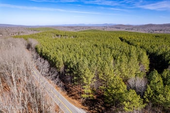 0 Lower Rockwood Rd Lot 21, Rockwood, TN 37854