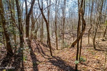 0 Lower Rockwood Rd Lot 21, Rockwood, TN 37854