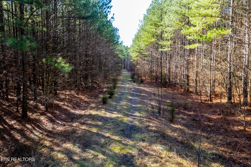 0 Lower Rockwood Rd Lot 23, Rockwood, TN 37854
