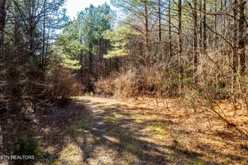 0 Lower Rockwood Rd, Rockwood, TN 37854