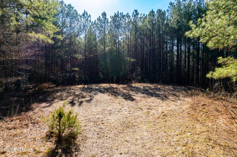 0 Lower Rockwood Rd, Rockwood, TN 37854