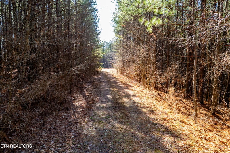 0 Lower Rockwood Rd, Rockwood, TN 37854