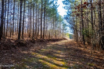0 Lower Rockwood Rd, Rockwood, TN 37854