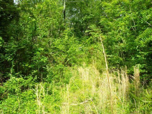 0 Lower Smithfield Rd #2093-L, Tellico Plains, TN 37385