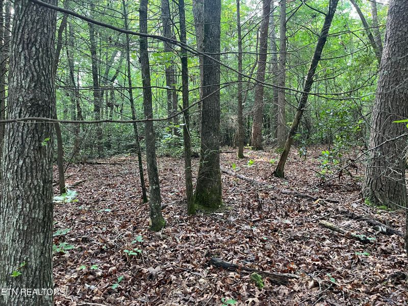 0 Lower Smithfield Rd, Tellico Plains, TN 37385
