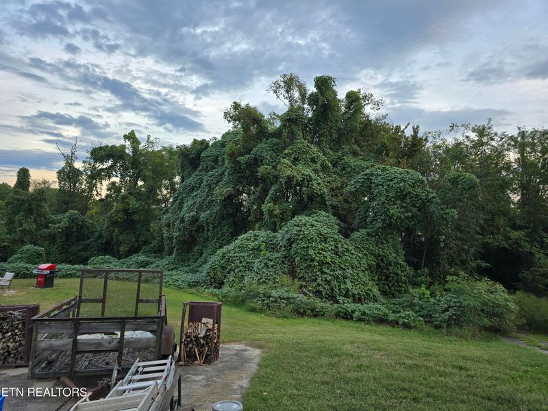 0 Magnet Pl, Knoxville, TN 37915