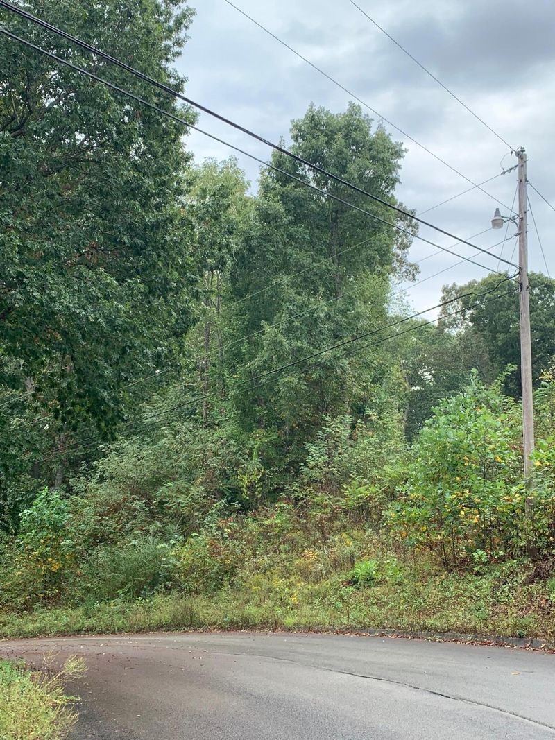 0 Mallard Baye Lot 161, Rutledge, TN 37861