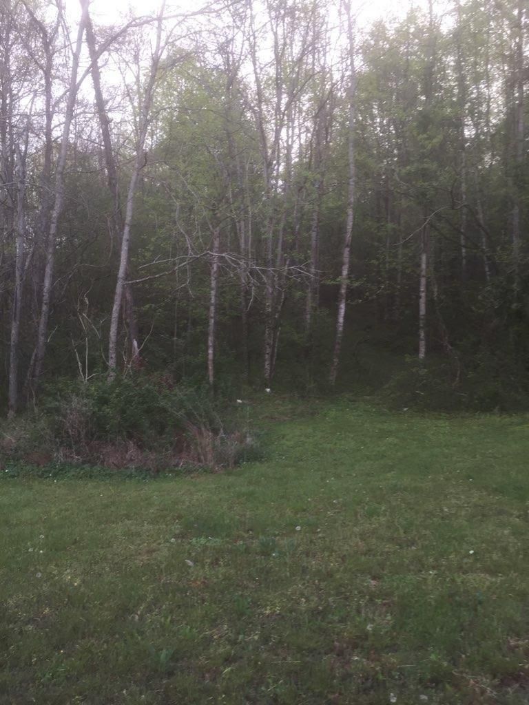 0 Malone Rd, Lenoir City, TN 37771
