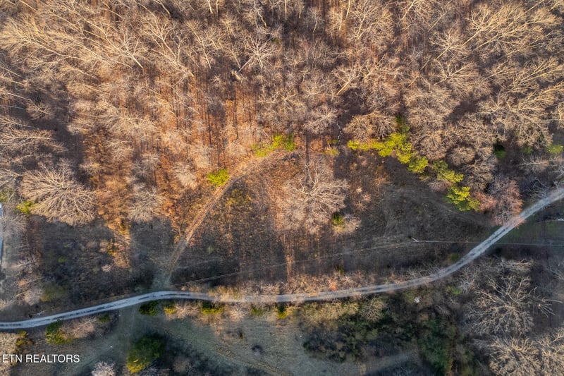 0 Maple Grove Rd, Ten Mile, TN 37880