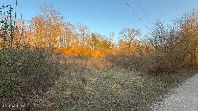 0 Maple Grove Rd, Ten Mile, TN 37880
