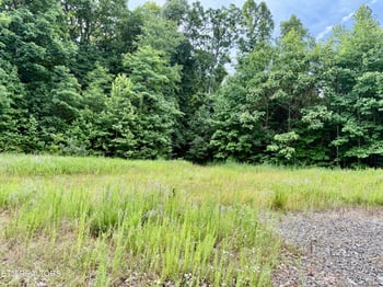 0 Marcum Creek Rd, Oneida, TN 37841