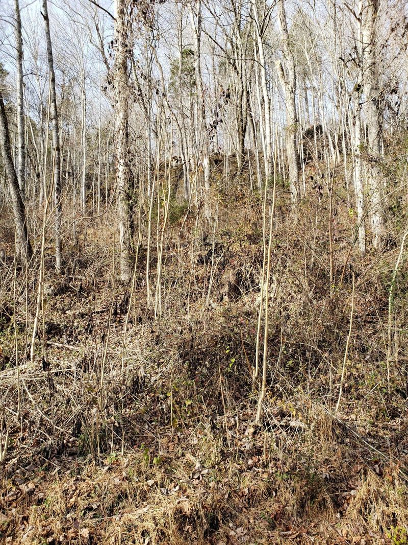 0 Marina Ln, Lafollette, TN 37766