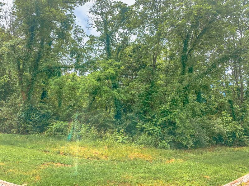 0 Mariner Point Drive Drive 1 Dr, Clinton, TN 37716